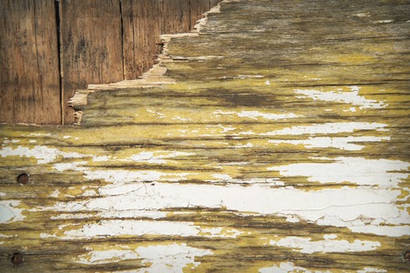 Piece of scratched old wooden sheet as a background.の写真素材
