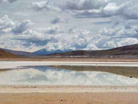 Road trip in the Andes, from San Pedro de Atacam to Uyuniの写真素材