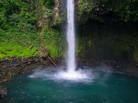 Trekkin tour in the Jungle of Costa Ricaの写真素材
