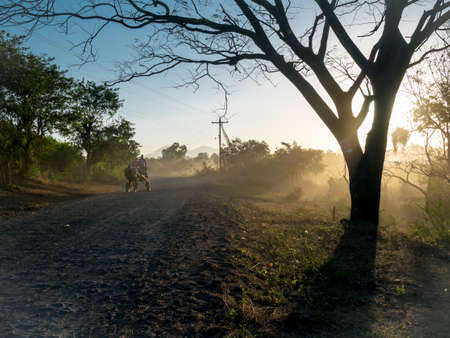 Sunrays and Trees in the near of Leon, Nicaraguaの写真素材