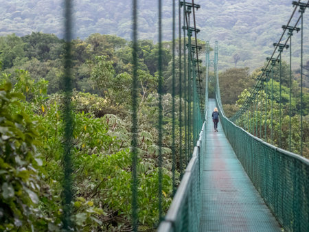Suspension Bridge in Costa Rica, Central America