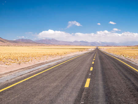Road to Miniques Lagoon. Atacama, North of Chileの写真素材