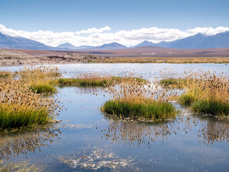 Road trip in the Andes, from San Pedro de Atacam to Uyuni