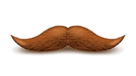 illustration of brown hairy mustache with shadow on white backgroundのイラスト素材