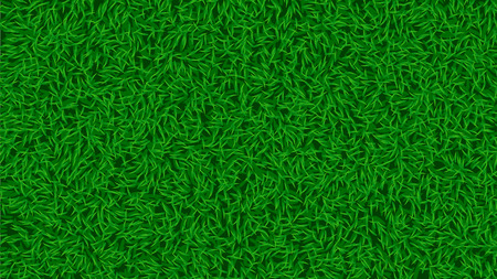 illustration of green shiny realistic grass backgroundのイラスト素材