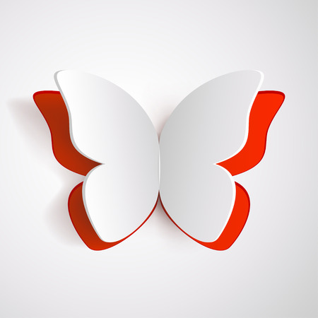 white color butterflyのイラスト素材