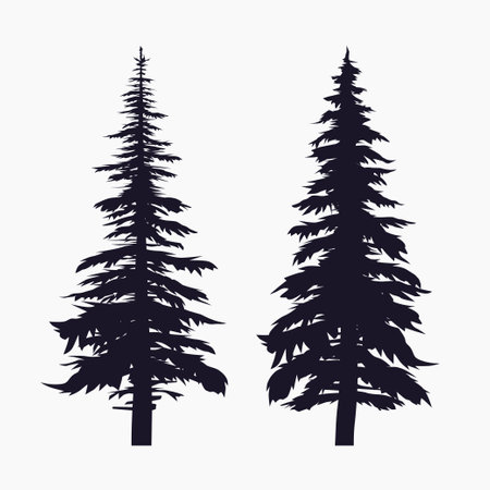 black pine trees silhouettes isolated on whiteのイラスト素材