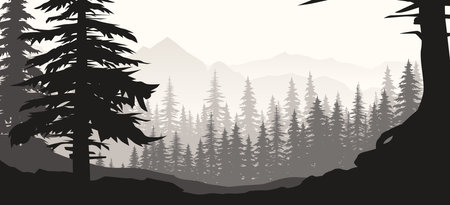 a beautiful forest landscape in grey colorのイラスト素材