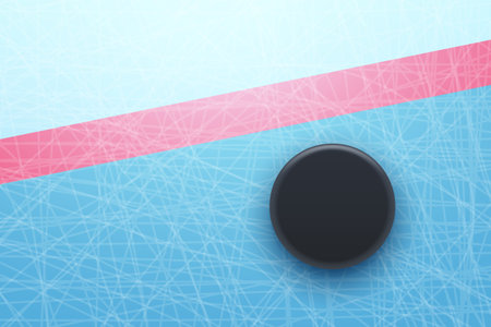 hockey puck behind red line top viewのイラスト素材