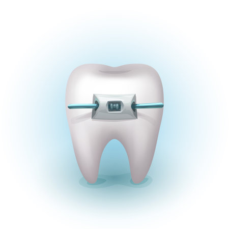 a realistic human white tooth with bracesのイラスト素材