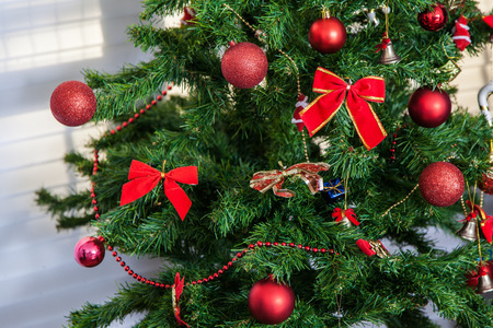 Christmas treeの写真素材