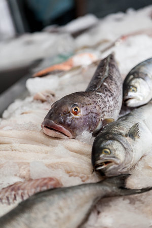 Fish market