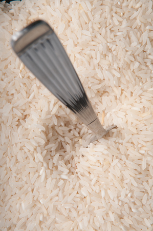 Riceの写真素材