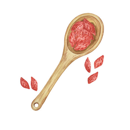 Wooden spoon with dry goji berries in watercolor isolated on white background. Hand-drawn clipart of licium barbarum fruits. Design for printing, packaging, cards, posters, food supplementsの写真素材