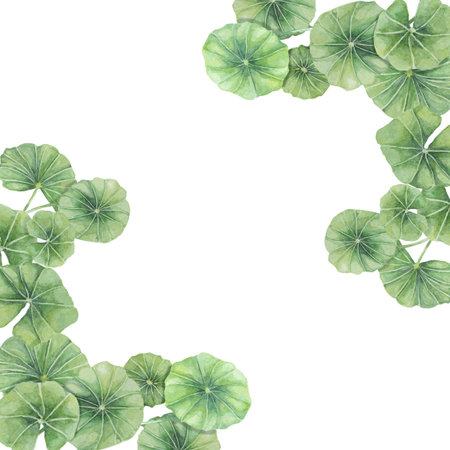 Centella asiatica corner frame clipart. Watercolor gotu cola card template with space for text....