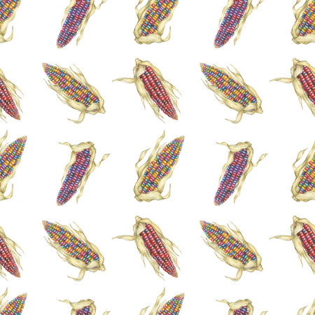 Heirloom Indian corn seamless pattern, rainbow cobs textile, multicolored maize background. Watercolor print for kitchen, clothes, wallpaper, wrapping paper, scrapbooking, food packaging, Thanksgivingの写真素材