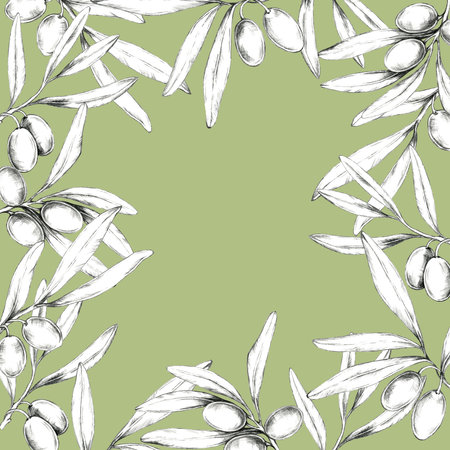 Olive branches forming a border on a green background, complete with detailed olives and leaves. Pencil drawing clipart for packaging design of gourmet olive oils, soaps, and organic skincare productsの写真素材