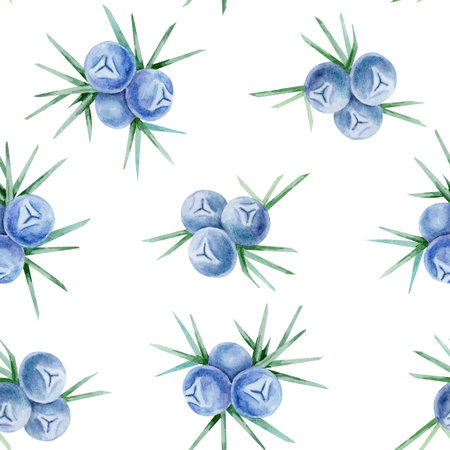 Blue juniper berries with green needle leaves form a scattered seamless pattern in this hand drawn watercolor clipart. Great for fabric prints, gift wrap, packaging, cards and digital paper.の写真素材