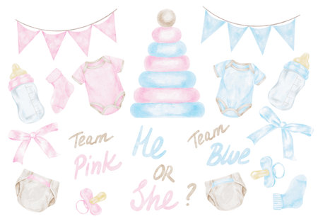 Pink and blue party items, bunting, cake and baby clothing created as hand drawn watercolor clipart ideal for gender reveal invites, themed designs, printable banners and celebration stationery.の写真素材