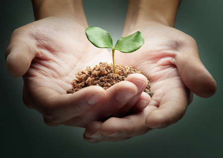 two hands holding a plant, studio shot