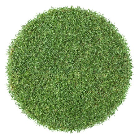 piece of round shape grass isolated as backgroundの写真素材