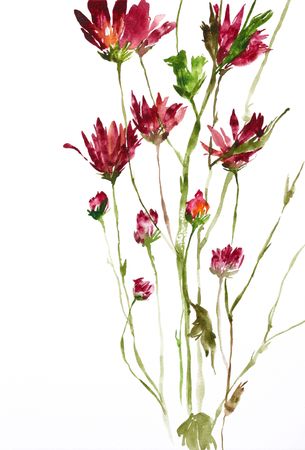 watercolor painting of flowers, use as backgroundの写真素材