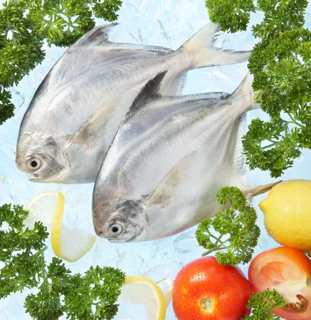 fresh fish on ice decorated with vegetablesの写真素材
