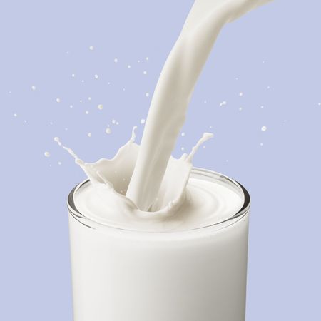 pouring to a glass of milk created splashの写真素材