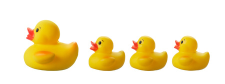 yellow rubber duck and ducklings isolated on whiteの写真素材