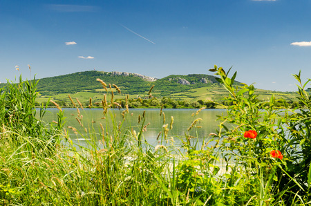 Pálava hills, Moravia, Czech Republic, Central Europe Pálava hills, Moravia, Czech Republic, Central Europe