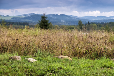 Landscape with cloudy skyの写真素材