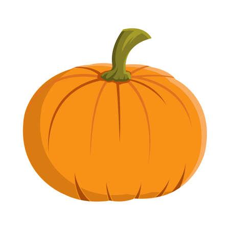 Halloween ripe pumpkin design on a white background. Pumpkin with isolated shape design. Halloween ripe pumpkin party element vector illustration. Pumpkin vector for upcoming Halloween events.のイラスト素材