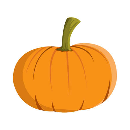 Halloween pumpkin vector design on a white background. Pumpkin with isolated shape design. Halloween ripe pumpkin party element vector illustration. Pumpkin vector for upcoming Halloween events.のイラスト素材