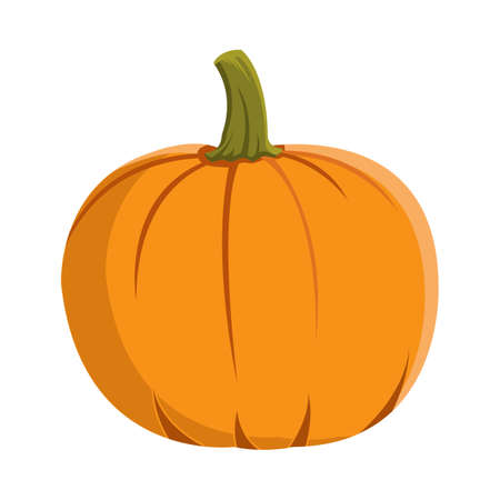 Halloween ripe pumpkin design on a white background. Pumpkin with isolated shape design. Halloween ripe pumpkin party element vector illustration. Pumpkin vector for upcoming Halloween events.のイラスト素材