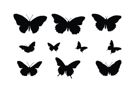 Cute butterflies silhouette set vector on a white background. Butterfly icons and silhouette collection. Beautiful monarch butterfly flying in different positions. Butterfly silhouette set design.のイラスト素材