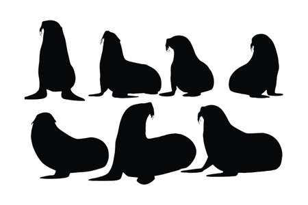 Wild sea lions sitting in different positions. Big sea creatures and sea lions sitting, silhouette on a white background. Seals full body silhouette collection. Big sea lion silhouette bundle design.のイラスト素材