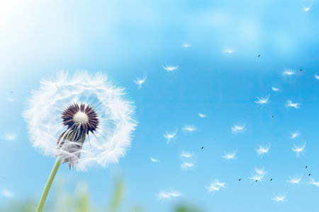 Dandelion flower with flying seeds on blue sky background. Copy space, close up of dandelion on the blue background, AI Generatedの素材