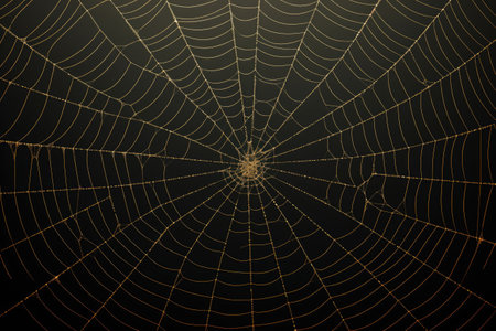 A shimmering spider web glistens with dew drops, capturing the delicate beauty of nature, Intricate pattern of a spider web symbolizing web technologies, AI Generatedの素材