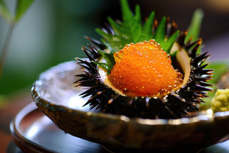 A detailed close-up view of a freshly sliced orange fruit placed on a clean white plate, Expensive sea urchin uni sashimi served in a half shell, AI Generatedの素材