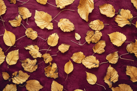 A collection of colorful autumn leaves, including shades of red, orange, and yellow, neatly arranged on a wooden table, Golden autumn leaves scattered on a rich maroon background, AI Generatedの素材