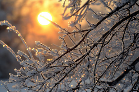 The sun shines through the frosted branches of a tree, casting a golden glow onto the crisp, icy landscape, The dramatic interplay of a setting sun and frosted tree branches, AI Generatedの素材