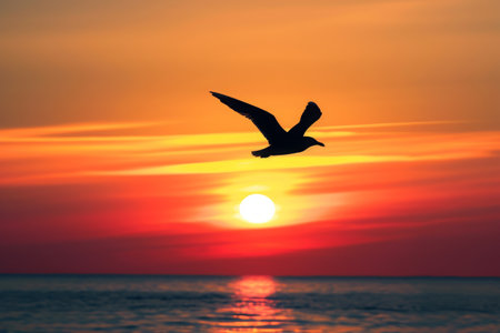 Bird Flying Over the Ocean at Sunset, A lone bird silhouette flying across the sunset, AI Generatedの素材