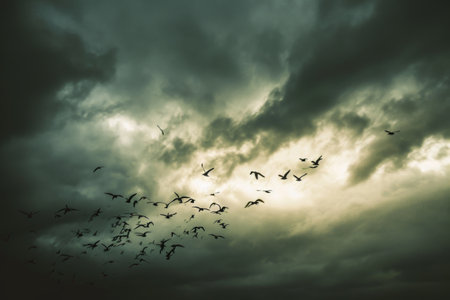 A large group of birds is flying together in formation through a sky filled with clouds, Birds fleeing from an approaching storm, AI Generatedの素材
