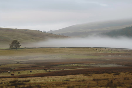 A herd of cattle graze on a lush green hillside with rolling hills in the background, A foggy moor with rolling hills and grazing wildlifeの素材