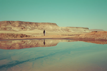 A person stands on a beach by a body of water, looking out at the sea, A mirage shimmering in the distance, teasing travelers with false hopeの素材