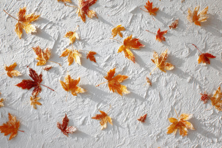 Frosted fall leaves scattered across a crisp white surface creating a serene autumn atmosphereの素材