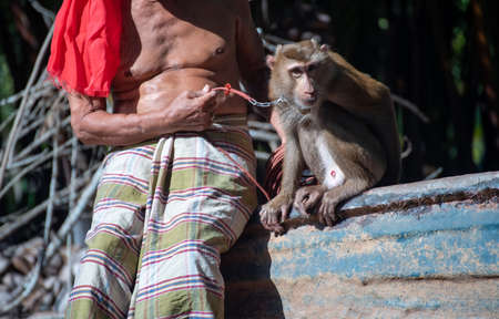 macaque that is tethered to work cruelly in Asiaの写真素材
