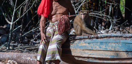 macaque that is tethered to work cruelly in Asiaの写真素材