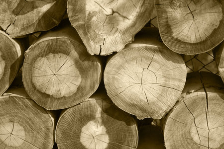 Wood