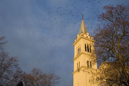 Church tower against blue sky in spring, with multitude of birds flying.の写真素材